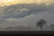 AUTORE: Breda Gianangelo AUTORE: Breda Gianangelo