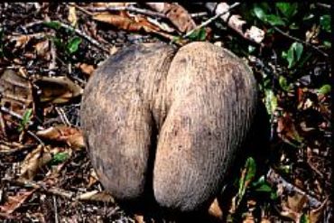 AUTORE: Luciano Vettorato AUTORE: Luciano Vettorato /