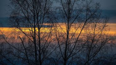 AUTORE: Luigi Dorigo AUTORE: Luigi Dorigo