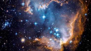 AUTORE: Luigi Dorigo - Ali e Radici Multivisioni AUTORE: Luigi Dorigo - Ali e Radici Multivisioni /