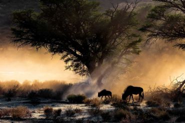 AUTORE: Diana Crestan AUTORE: Diana Crestan /