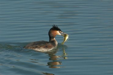 AUTORE: 360° Multivisioni AUTORE: 360° Multivisioni