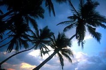 AUTORE: 360° Multivisioni AUTORE: 360° Multivisioni /