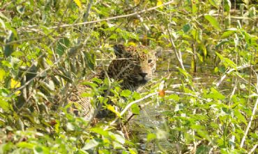 AUTORE: 360° Multivisioni AUTORE: 360° Multivisioni