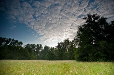 AUTORE: Luigi Dorigo - Ali e Radici Multivisioni AUTORE: Luigi Dorigo - Ali e Radici Multivisioni /