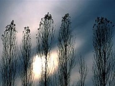 AUTORE: Carlo De Agnoi AUTORE: Carlo De Agnoi /