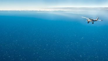 AUTORE: Luigi Dorigo - Ali e Radici Multivisioni AUTORE: Luigi Dorigo - Ali e Radici Multivisioni