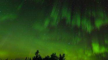 AUTORE: Luigi Dorigo - Ali e Radici Multivisioni AUTORE: Luigi Dorigo - Ali e Radici Multivisioni