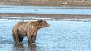 AUTORE: Luigi Dorigo - Ali e Radici Multivisioni AUTORE: Luigi Dorigo - Ali e Radici Multivisioni