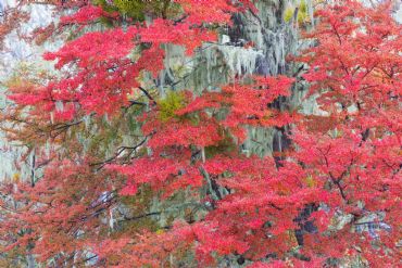 AUTORE: Roberto Valenti AUTORE: Roberto Valenti /