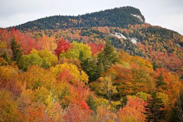 AUTORE: Luigi Dorigo - Ali e Radici Multivisioni AUTORE: Luigi Dorigo - Ali e Radici Multivisioni