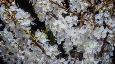 AUTORE: Valter Binotto AUTORE: Valter Binotto