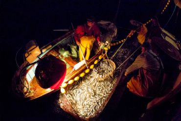 AUTORE: Merlino Multivisioni AUTORE: Merlino Multivisioni /