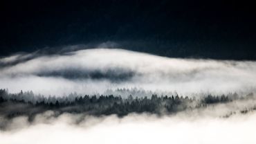 AUTORE: Giovanni Morao AUTORE: Giovanni Morao